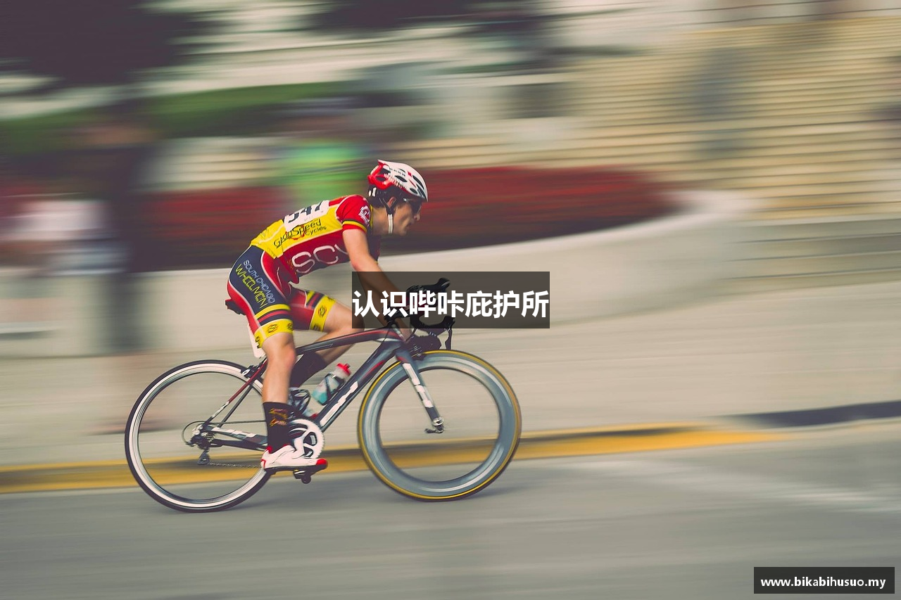 认识哔咔庇护所